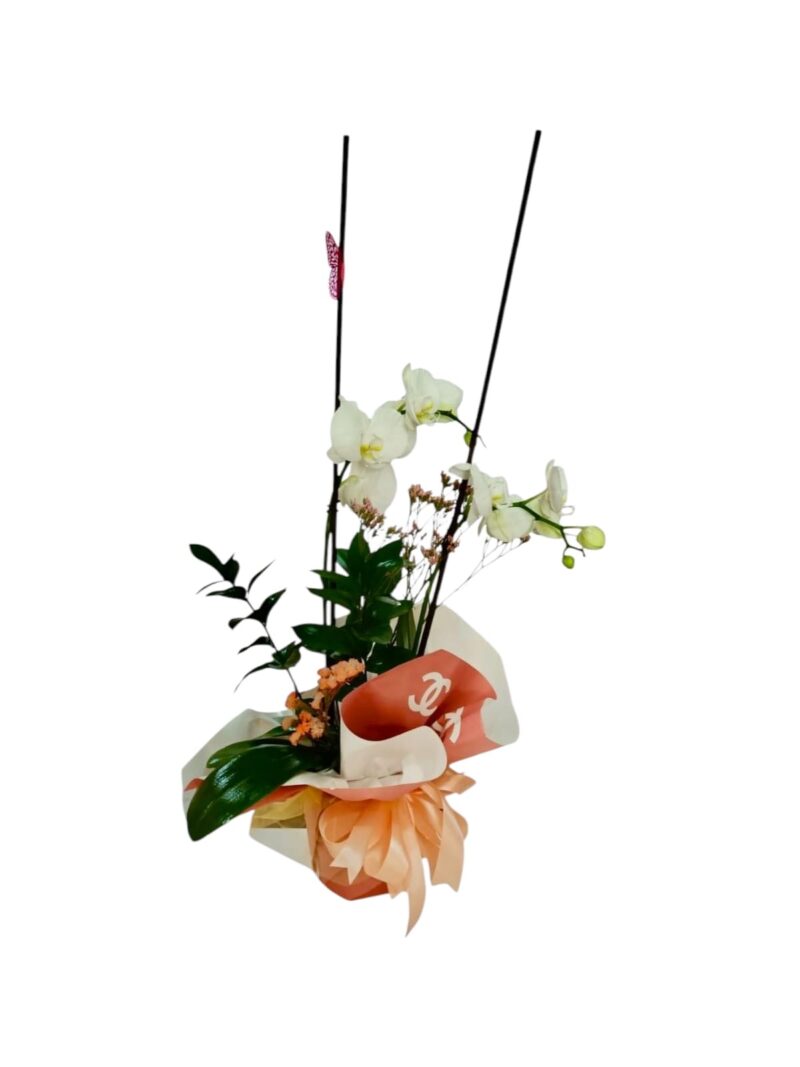 Orquídea Perla Chanel