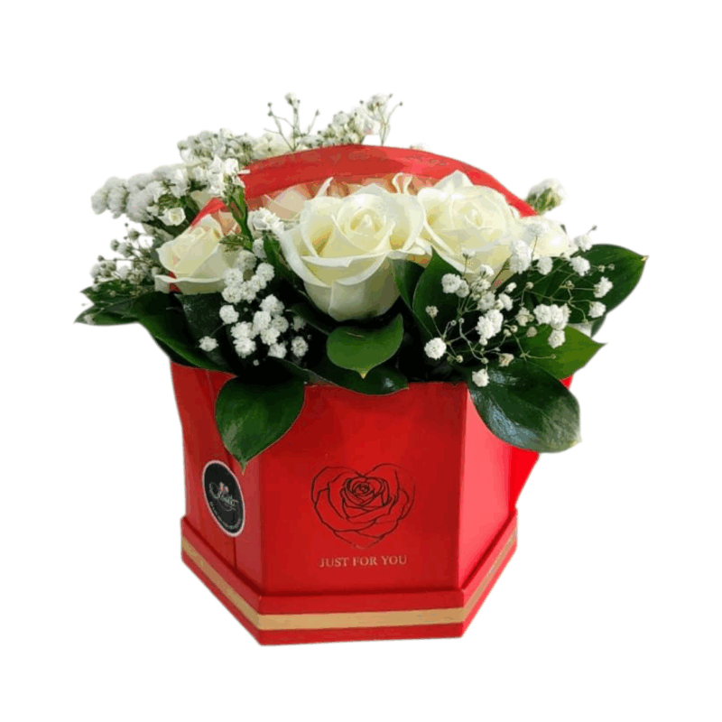 Caja Eterna Blancura