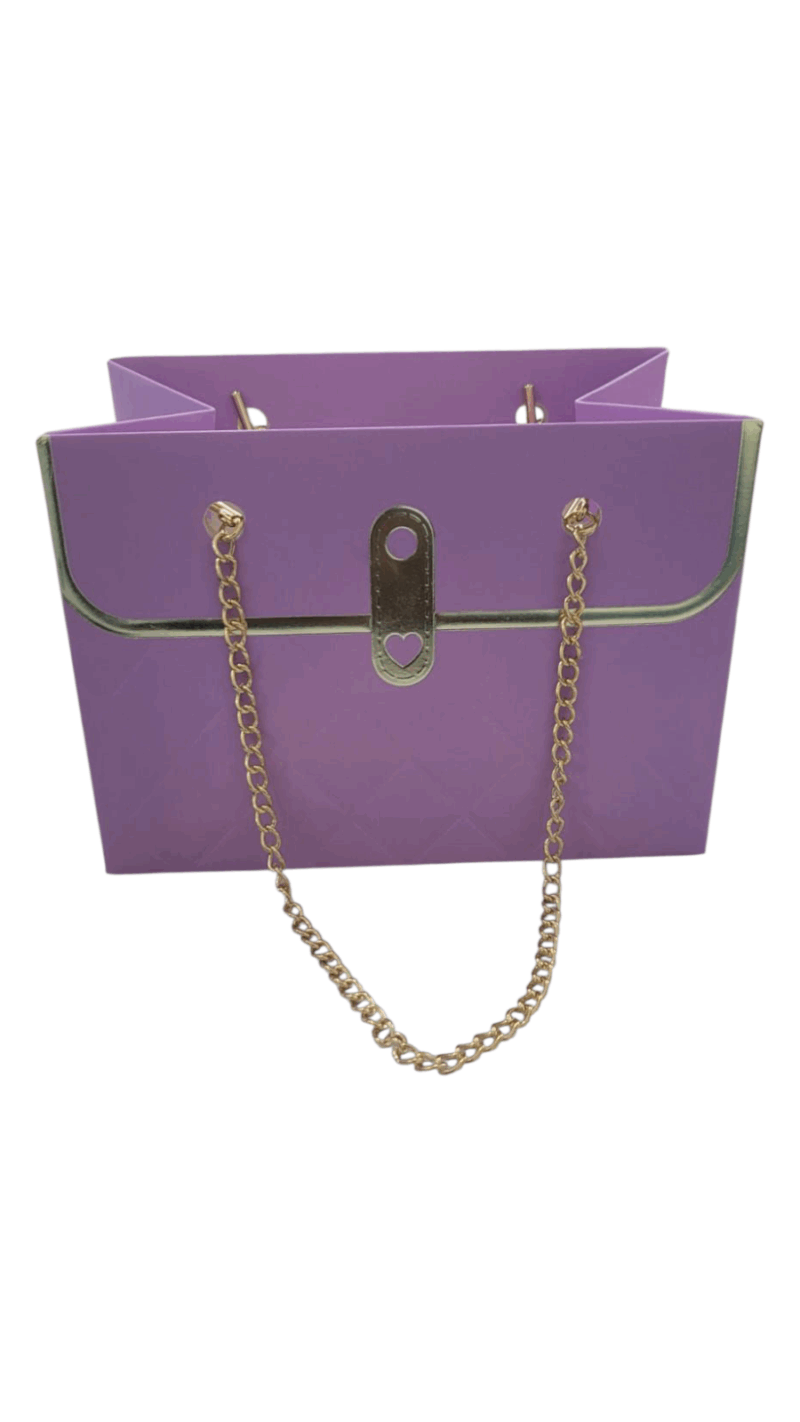 Caja Forma Cartera con Cadena Gold