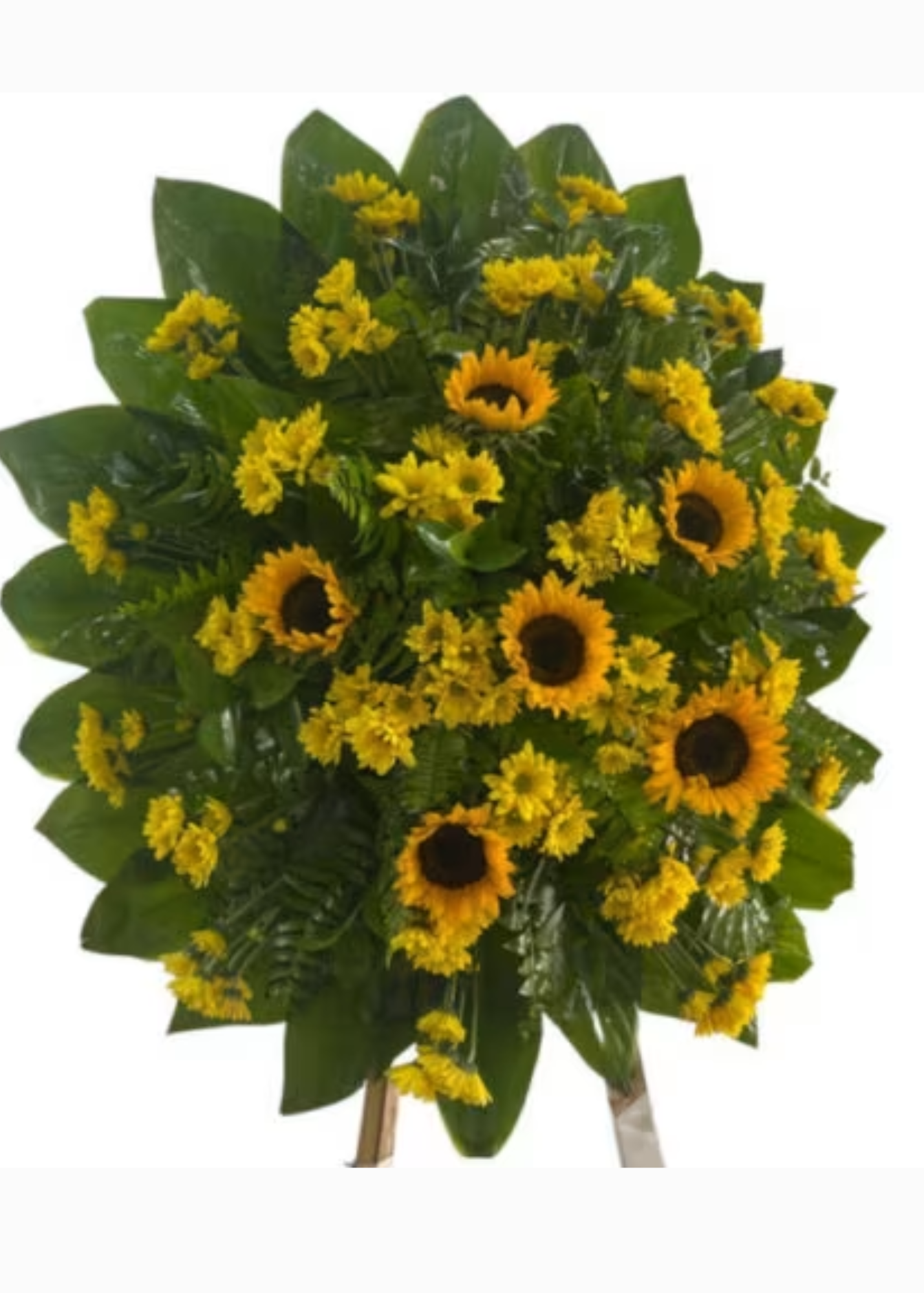 Corona Fúnebre con Margaritas y Girasoles 5668