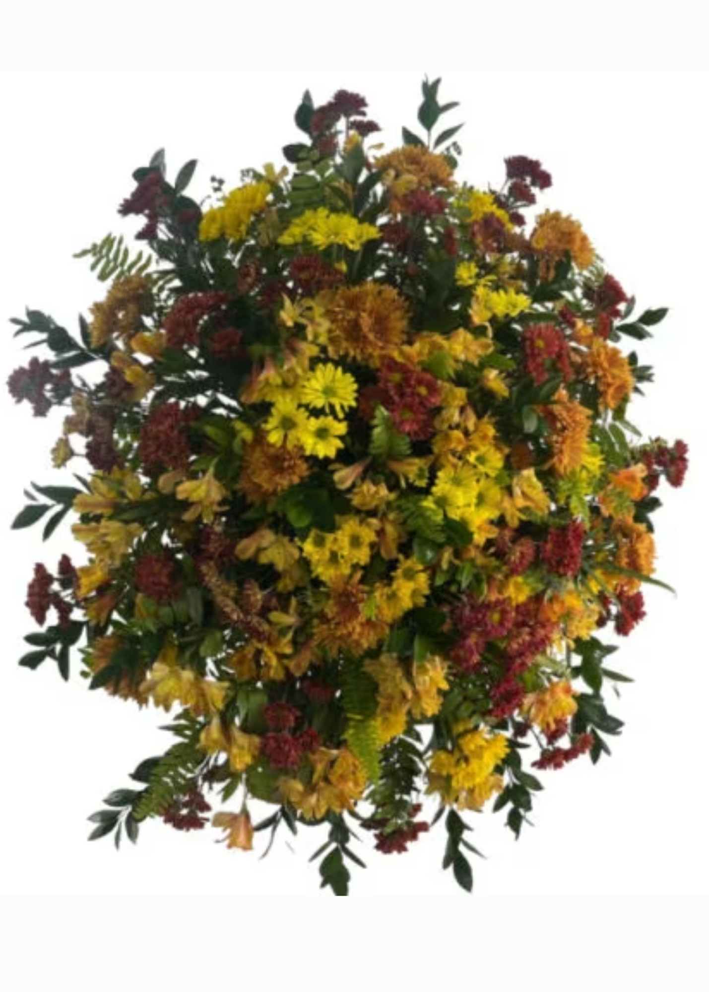 Corona en Margaritas importadas 5669