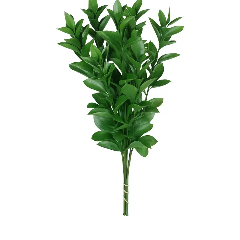 Ruscus Importado