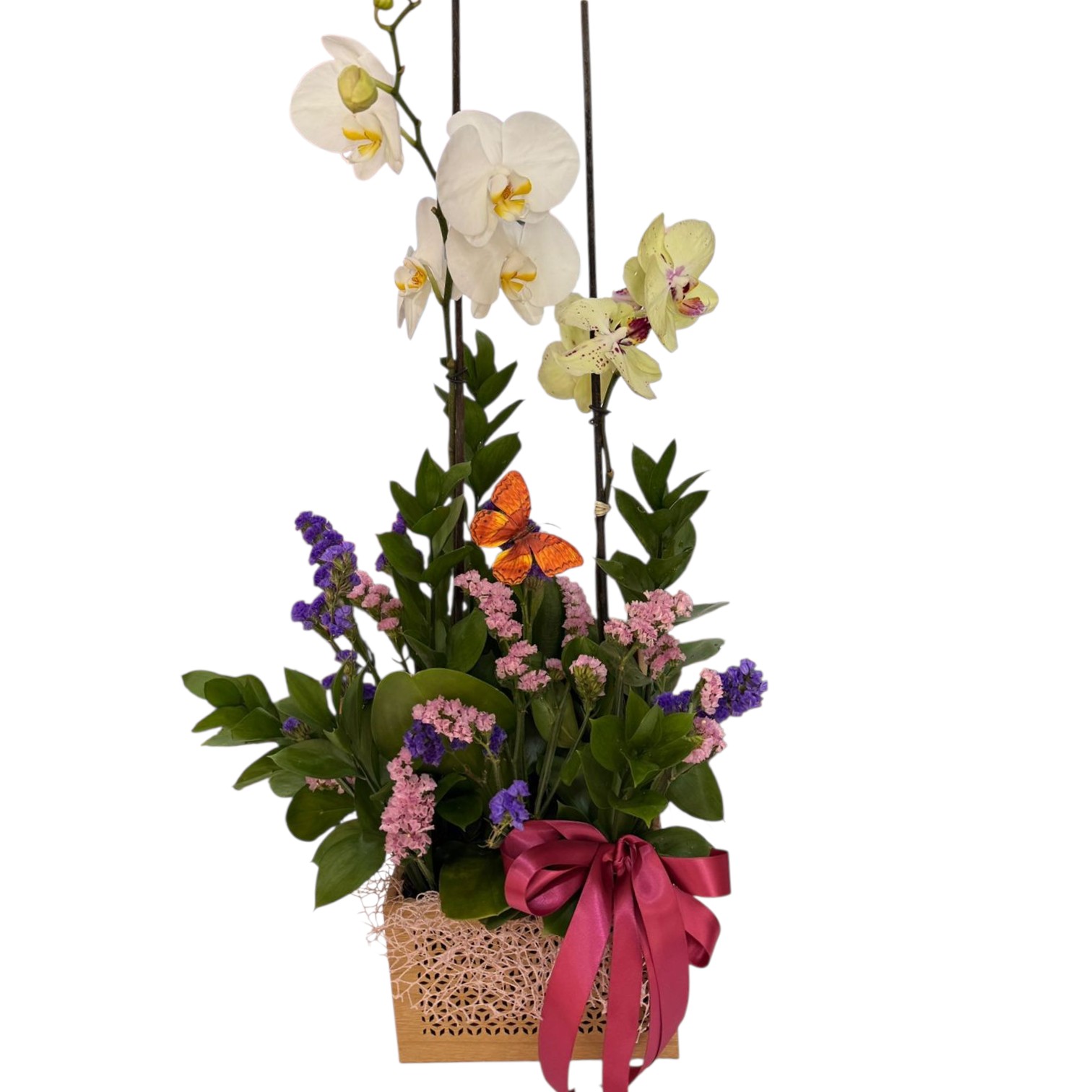 Orquídeas Destellos de Amor
